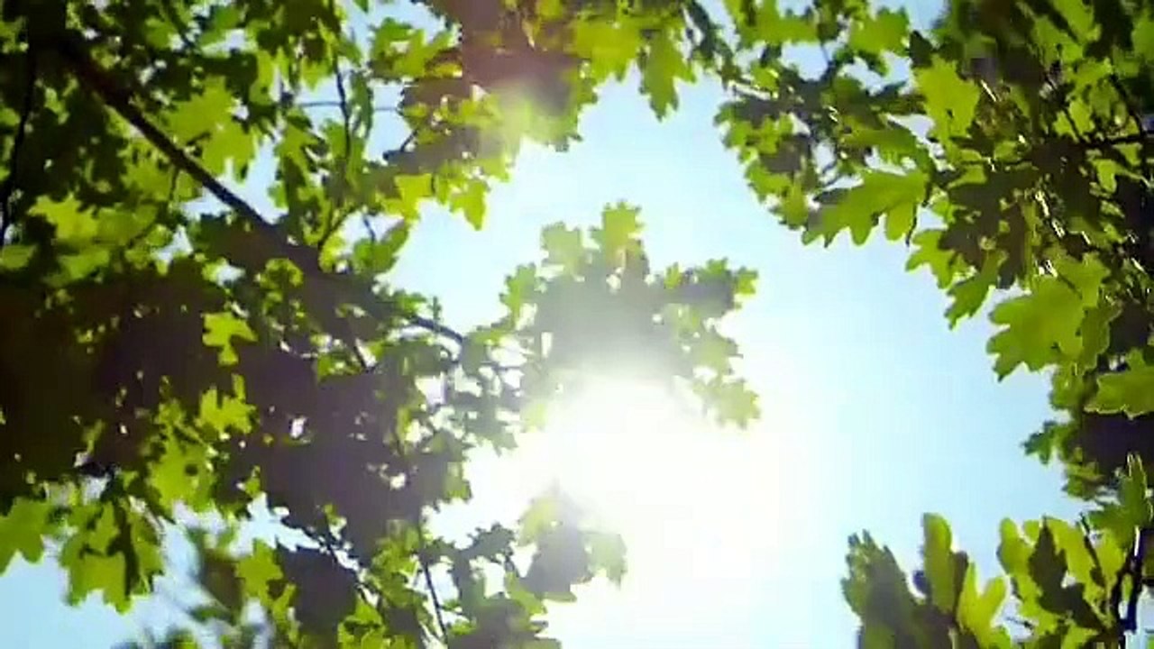 nature part 08