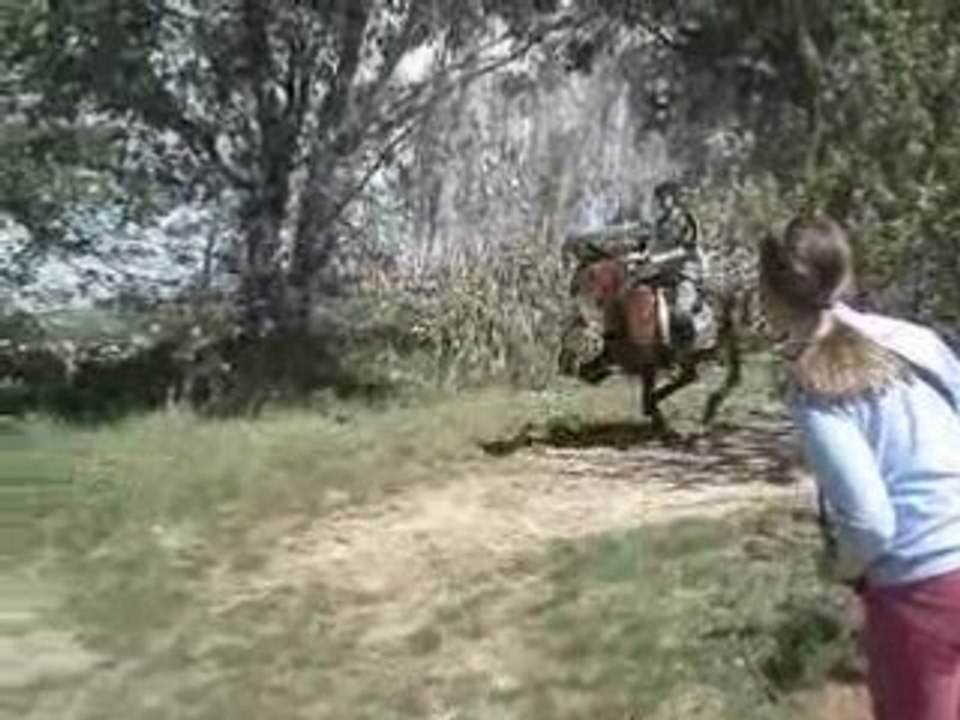2 crevarde dans un pommier xD