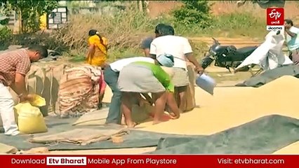 ఖరీఫ్‌ ధాన్యం సేకరణకు సిద్ధమైన రాష్ట్ర ప్రభుత్వం - సన్న రకం గుర్తించేందుకు కొనుగోలు కేంద్రాల సిబ్బందికి శిక్షణ