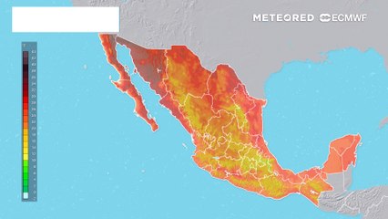 Frío, heladas y nieblas por aire polar en el Altiplano de México este fin de semana