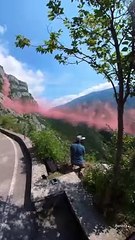 MasahAllah ❤️❤️❤️#shorts #shortsvideos #saleemshafi18 #youtubeshorts