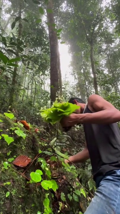 ខ្នងព្រះទេសភាពស្អាតណាស់ ពីយប់បីថ្ងៃ Very beautiful from three Night to three days