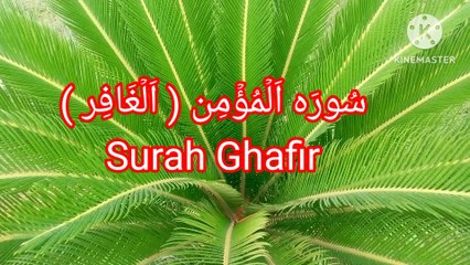 Surah Al Ghafir | Surah Al Mo'min | Tilawat Al Ghafir | quran recitation |