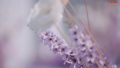 my gf alien s2 bengali dubbed