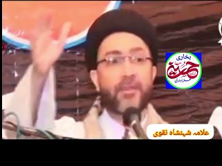 علامہ سید شہنشاہ نقوی/ اخلاقیات