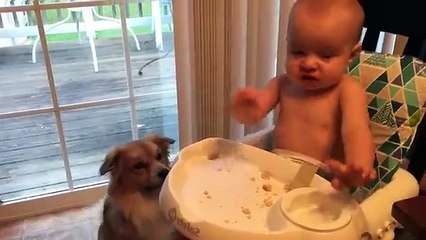 Cutest Babies Play With Dogs And Cats Compilation _