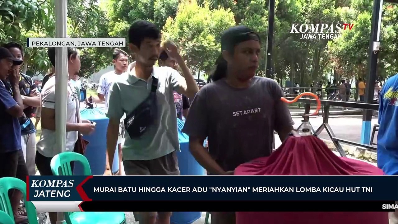 Murai Batu Hingga Kacer Adu Nyanyian Meriahkan Lomba Kicau HUT TNI