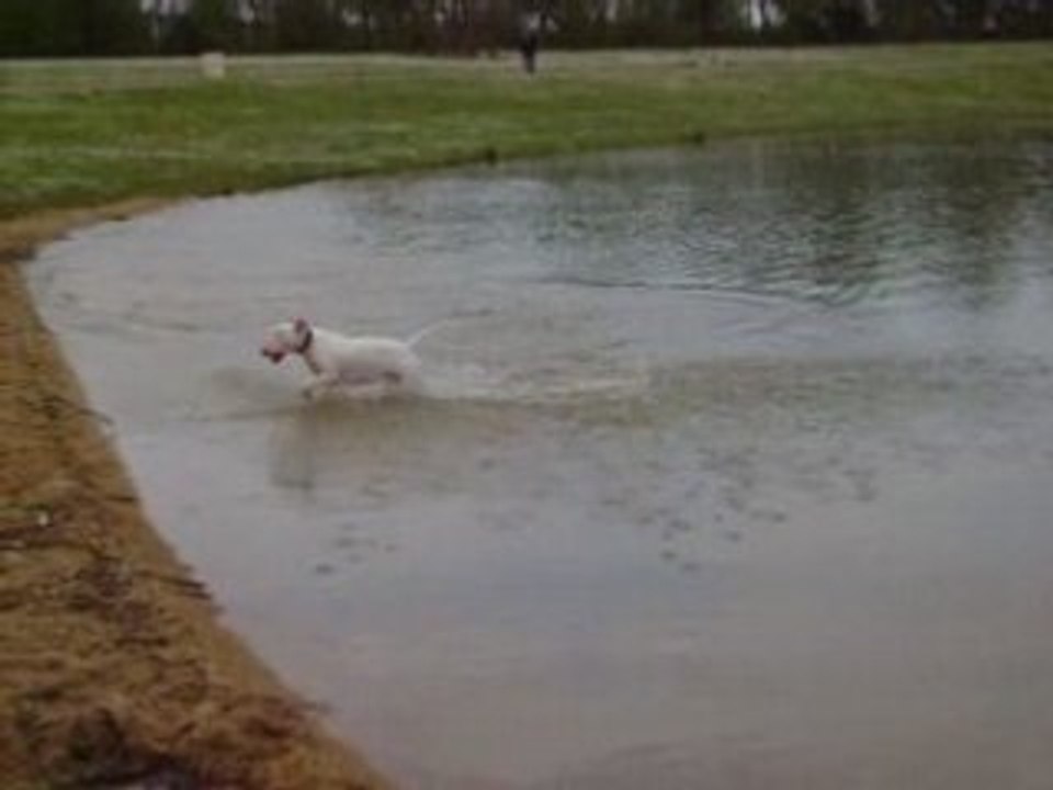 Bulle dans l'eau