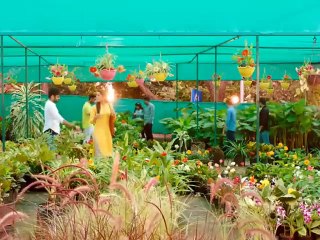 New India movie clip link bio