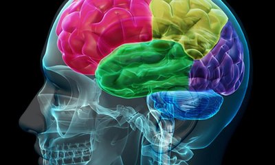 أثر فيروس كورونا على جذع الدماغ