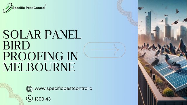 Solar Panel Bird Proofing In Melbourne