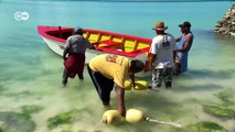 Kiribati a drowning paradise in the South Pacific  DW Documentary_720pFH