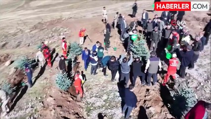 Palandöken'de 122 Bin Fidan Toprakla Buluştu