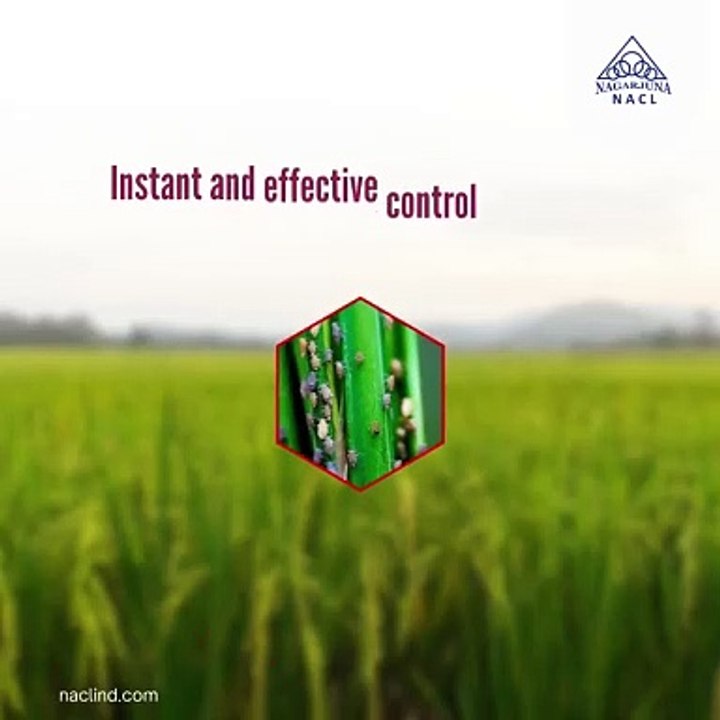 Reliable Insecticide Products in India to Keep Pests at Bay|NACL