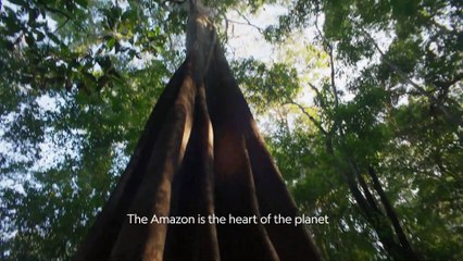 Expedition Amazon - Official Trailer