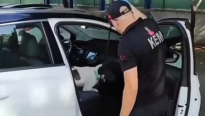 UYUŞTURUCUYA GEÇİT YOK  43 GÖZALTI 13 TUTUKLAMA