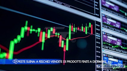 Confapi Brescia videonews - Puntata del 09/10/2024