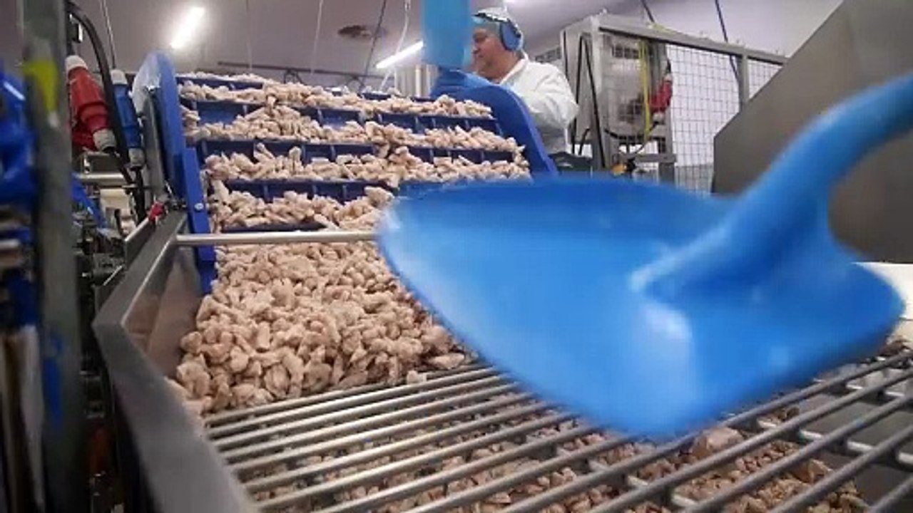 Whitby Scampi: Inside the factory - 'Why Scampi is very British'