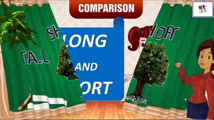 Big and Small: A Journey Through Heights