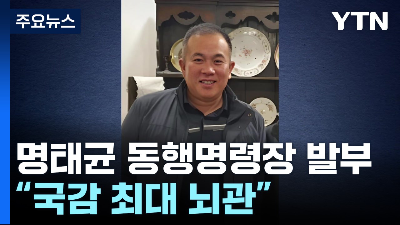 행안위, '명태균' 동행명령장 발부..."국감 최대 뇌관" / YTN