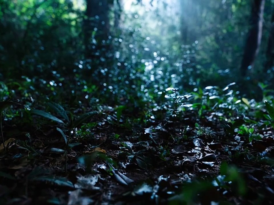 Indian Police Movies 2024