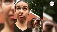 Frau macht Fotos mit ihrem Hund: Ein Schnappschuss geht sofort um die Welt!