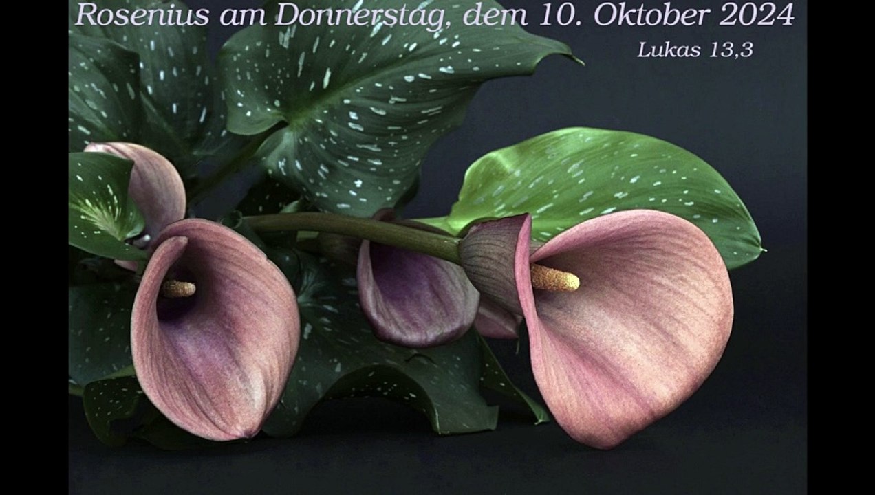 Rosenius am Donnerstag, dem 10. Oktober 2024 zu Lukas 13,3