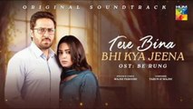 Tere Bina Bhi Kya Jeena - Be Rung OST ✩₊˚.⋆ [ Singer : Wajhi Farooki ] - HUM