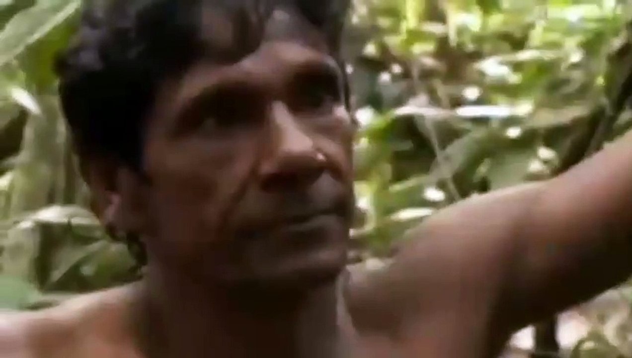 Man v monster-A besta do Amazonas(dublado com IA)