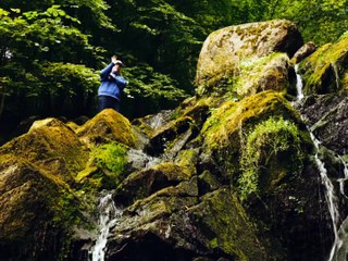 MAS - Æblesaft Freestyle