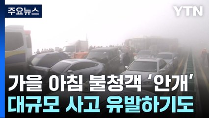 가을 아침의 불청객 '안개'...봄·겨울과 다른 점은? / YTN