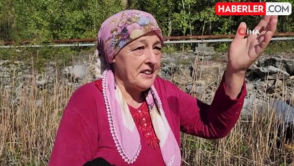 Defne Yaprağı Toplamak İçin Gittiği Ormanda Kaybolan Kadın Bulundu