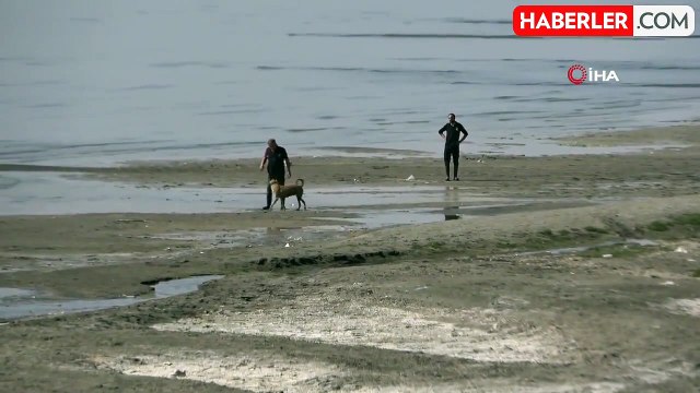 Van'da Kaybolan Rojin Kabaiş 13 Gündür Aranıyor
