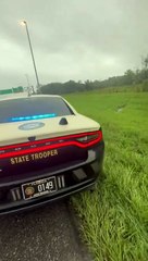 Cão é abandonado acorrentado a vedação antes da chegada de \'Milton\'