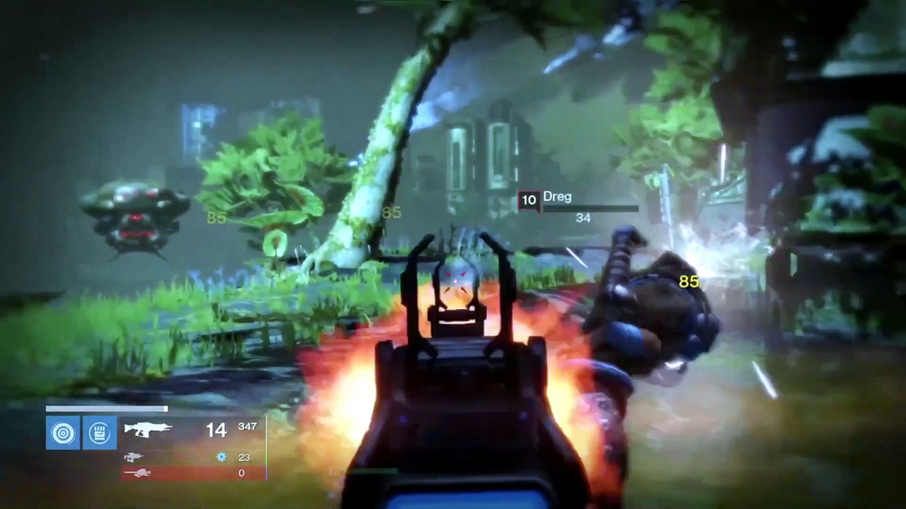 The Doomed Dog Destiny Review
