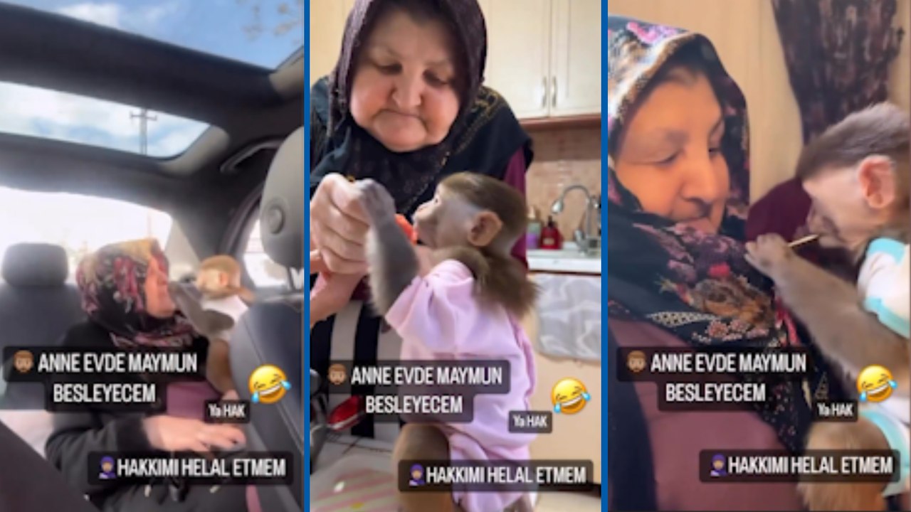 Evde maymun beslemek için annesini zor ikna etti:  Önce itiraz etti sonra arkadaş oldu