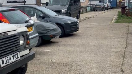 Sassy cat triggers car alarm but remains unfazed while chilling on the bonnet