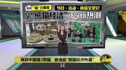中国再赠香港两只大熊猫，掀起“熊猫经济”热潮 🐼