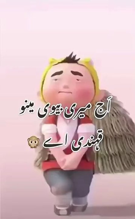 funny  video
