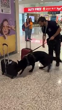 Passageiro preso com cocaína a vácuo na mala em Viracopos