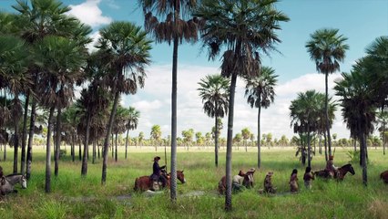 Zama (2018), de Lucrecia Martel | Trailer