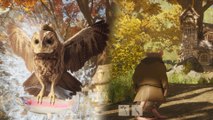 Neues RPG Hawthorn steckt euch als kleines Tier in den Mittelalter-Wald & erinnert wohlig an Skyrim