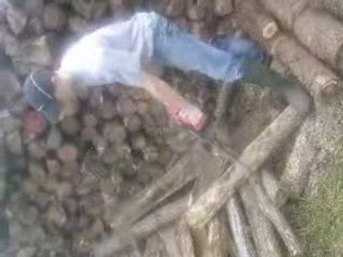 mimi qui scie du bois