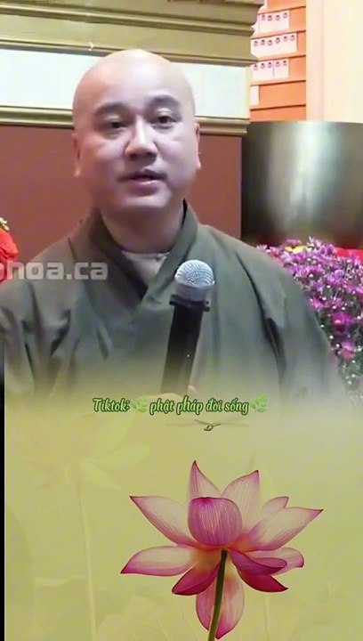 Ngày cúng giỗ là sự trở về,trở về với tổ tiên về với gốc rễ - Thầy Pháp Hòa giảng Phật Pháp #shorts #thichphaphoa #vandap