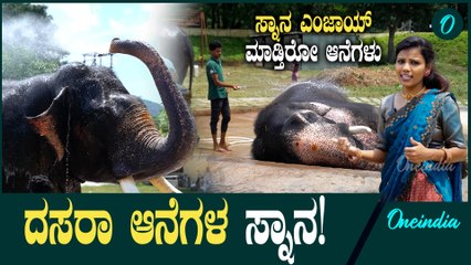 ದಸರಾ ಆನೆಗಳು ಸ್ನಾನ‌ ಮಾಡಿ ಫ್ರೆಶ್ ಆಗಿ ಭೋಜನಕ್ಕೆ ರೆಡಿಯಾಗೋದು ಹೀಗೆ