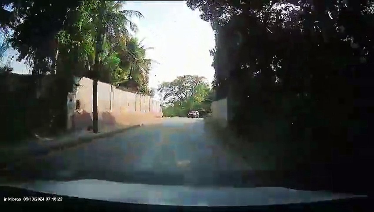 Foragido da Lemos Brito é preso na Linha Verde