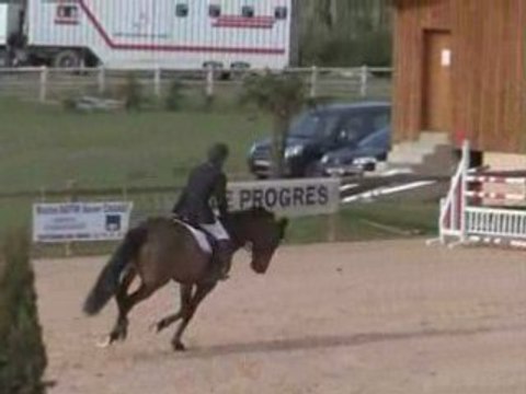 Othello de Felines, Arnas, La Sauvageonne 14 au16 Avril 2008