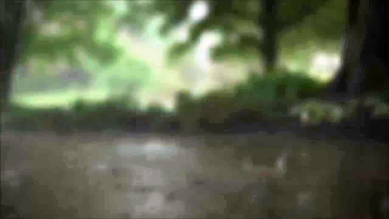 Rain Sounds   15 seconds soundtrack