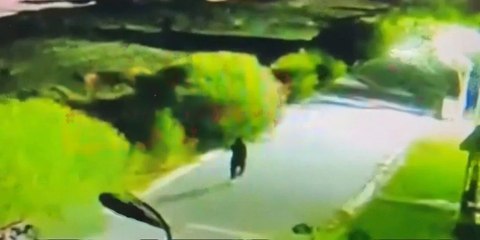 Van'da Rojin Kabaiş'in kaybolmadan önceki son görüntüleri ortaya çıktı