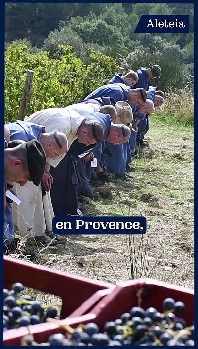 La prière des moines dans les vignes avant les vendanges !